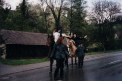 Bild11