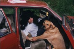 Bild9