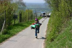 098bild_12