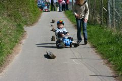 098bild_33