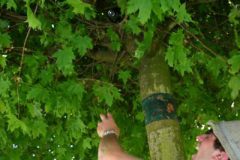 008bild11
