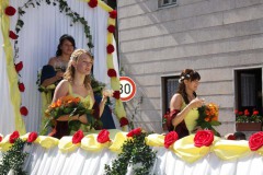 018bild85