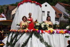 017bild19