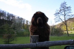 011bild11