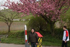 015bild13