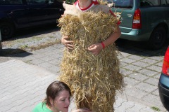 017bild01