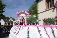 018bild31