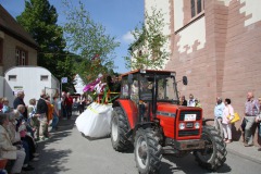 018bild80