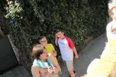 005bild52