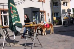 018bild16
