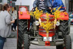 022bild03