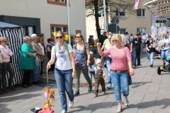 014bild18