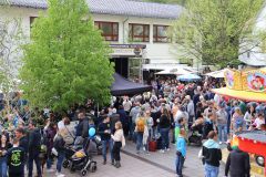 006bild113